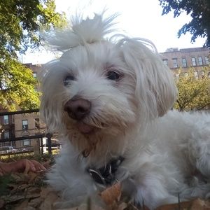 Meet your Posher, Donna